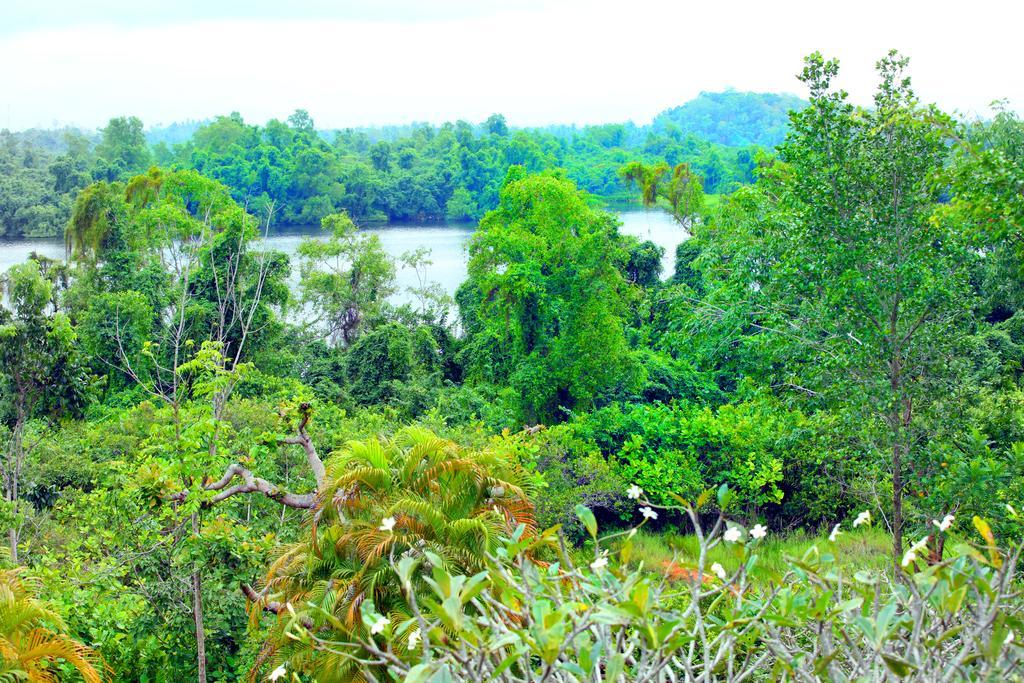 Sobaco Nature Resort Bentota Zimmer foto